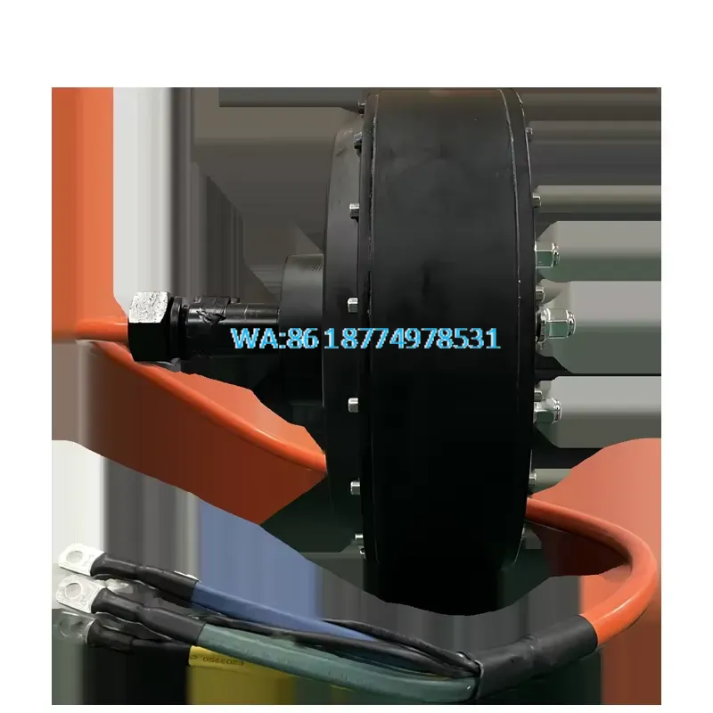 Wmwmnu for QS 273 8000W 72V 50 - огляд і ціна Qs Motor 273 8000W Hub Motor